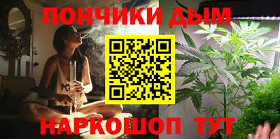 молекула духа Будённовск
