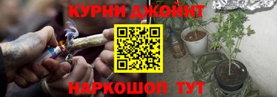 молекула духа Будённовск